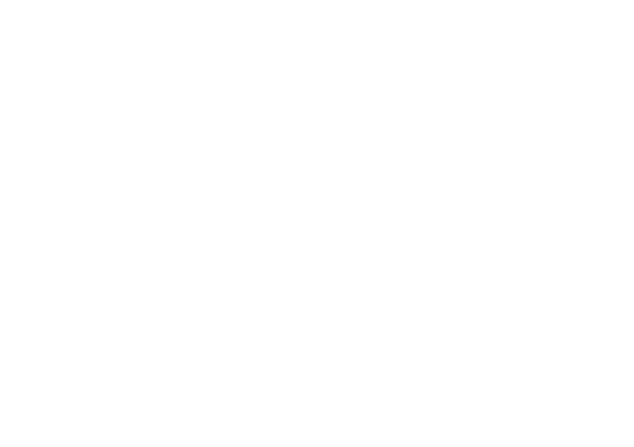 LIT365 Permanent Lighting